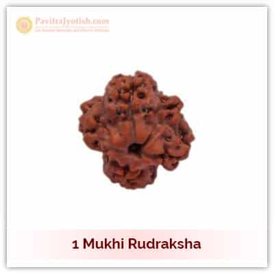 Nepali Ek Mukhi One Faced Rudraksha