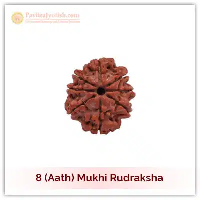 8 (Aath) Mukhi Rudraksha