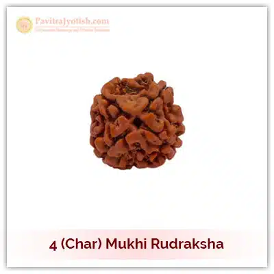 Original Nepali Char Mukhi Four Faced Rudraksha