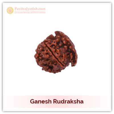 Original Nepali Ganesh Rudraksha