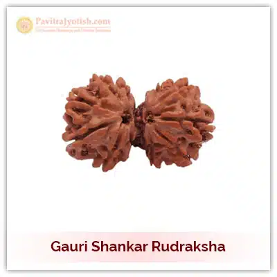 Gauri Shankar Rudraksha