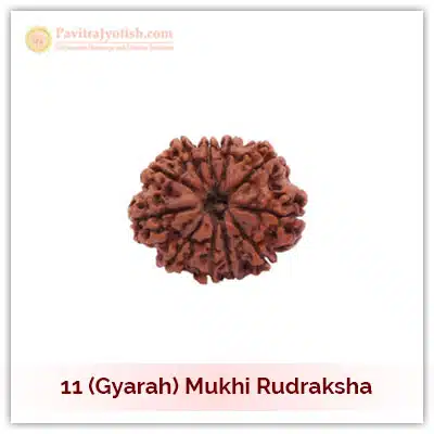 Original Nepali Gyarah Mukhi Eleven Faced Rudraksha