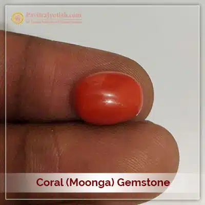 Original Moonga Coral Gemstone