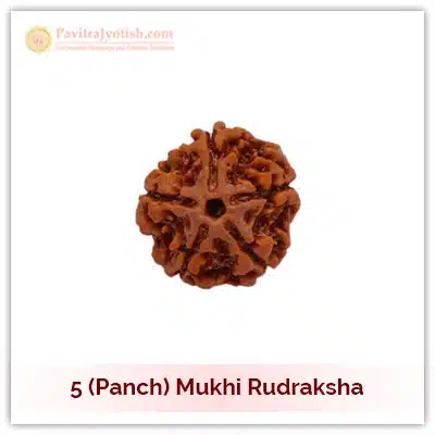5 (Panch) Mukhi Rudraksha