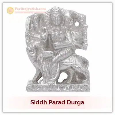 Siddh Parad Durga Idol