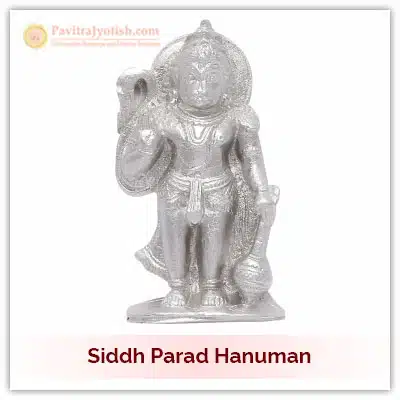 Siddh Parad Hanuman Idol