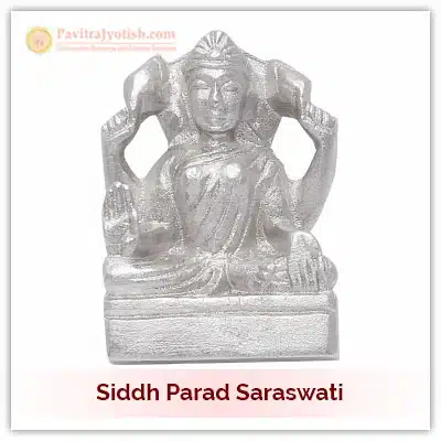 Siddh Parad Saraswati Idol