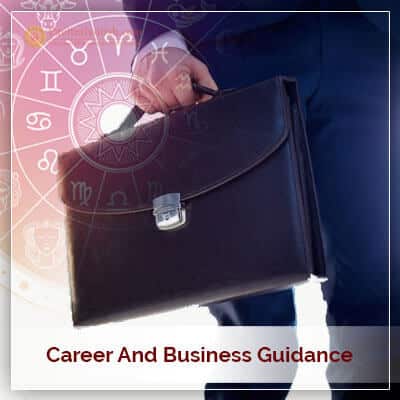 Career and Business Guidance In Horoscope Astrology