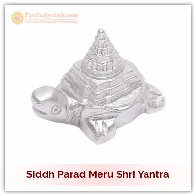 Siddh Parad Meru Shri Yantra Idol