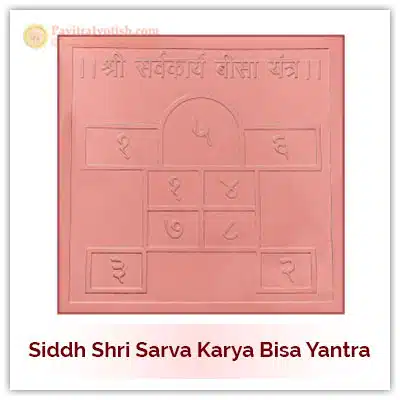 Siddh Sarva Karya Bisa Yantra