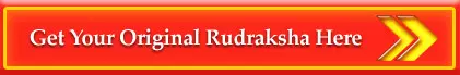 Get Your Original Rudraksha Here By PavitraJyotish