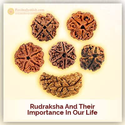 Rudraksha and their Importance in your Life