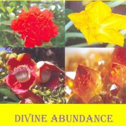 divine abundance