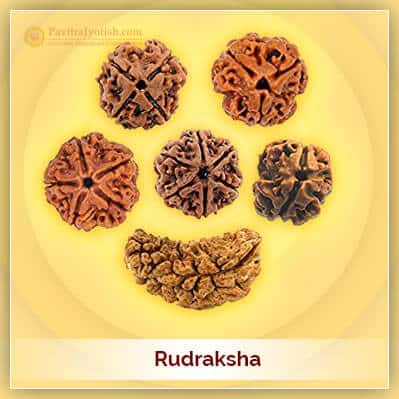 Rudraksha