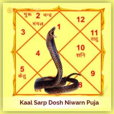 Kaalsarp Dosh Niwarn Puja