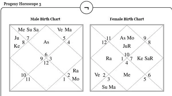 Progeny Horoscope Three