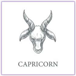 Sun Transit On 15th December 2020 Effects For Capricorn