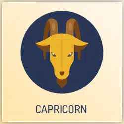 2021 Capricorn Venus Transit