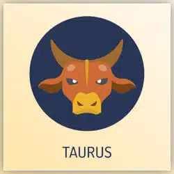 2021 Taurus Venus Transit