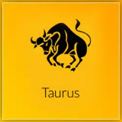 2021 Taurus Sun Transit