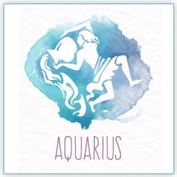 2021 Venus Transit In Aquarius