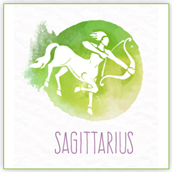2021 Venus Transit In Sagittarius