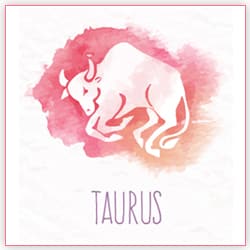 Sun Transit In Taurus