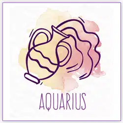 Venus Transit 2021 Aquarius