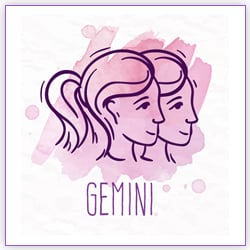 Venus Transit 2021 Gemini