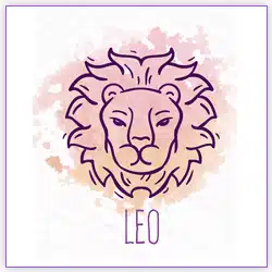 Venus Transit 2021 Leo