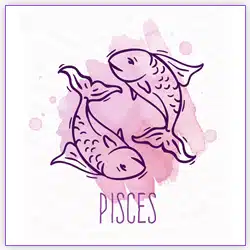 Venus-Transit 2021 Pisces