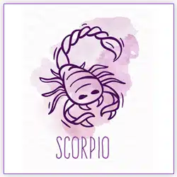 Venus Transit 2021 Scorpio