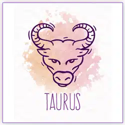 Venus Transit 2021 Taurus