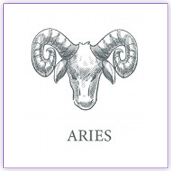 Mercury Transit 2021 Aries