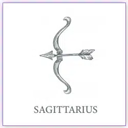 Mercury Transit 2021 Sagittarius