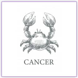 Venus Transit Scorpio On 02 October 2021 For Cancer