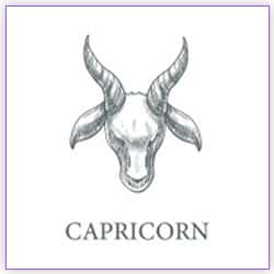 Venus Transit Scorpio On 02 October 2021 For Capricorn