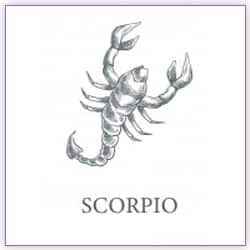 Venus Transit Scorpio On 02 October 2021 For Scorpio