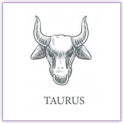 Venus Transit Scorpio On 02 October 2021 For Taurus