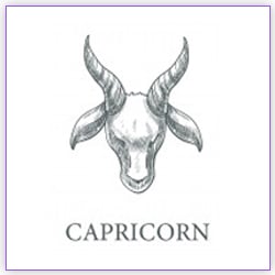Sun Transit Scorpio On 16 November 2021 For Capricorn