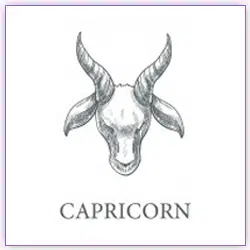 Sun Transit Scorpio On 16 November 2021 For Capricorn