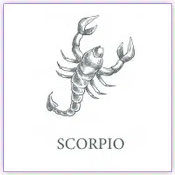 Sun Transit Scorpio On 16 November 2021 For Scorpio