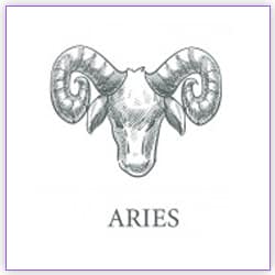 Sun Transit Effect Aries On 14 January 2022