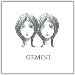 Sun Transit Effect Gemini On 14 January 2022