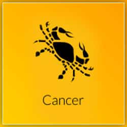 Venus Transit Effect on Cancer 26 February 2022