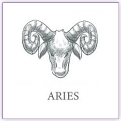 Effects Of Mars Transit Aries