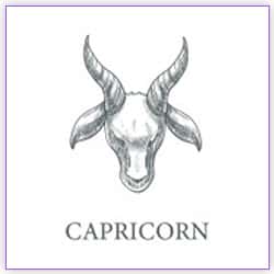 Effects Of Mars Transit Capricorn