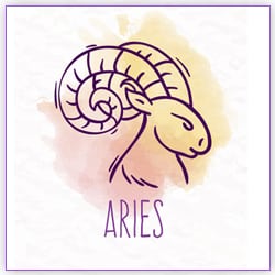 Effects Venus Transit Aries