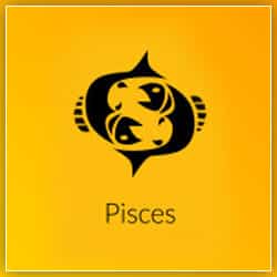 Venus Transit Effect Pisces Sign