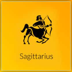 Venus Transit Effect Sagittarius Sign